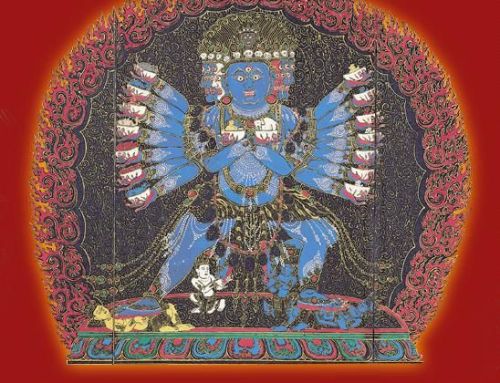 CÁT TƯỜNG HỶ KIM CƯƠNG